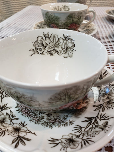 Windsor Ware Johnson Bros Azalea Gardens Teacup & Saucer Set of 6