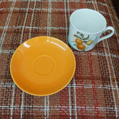 Myott Ironstone Teacup and saucer